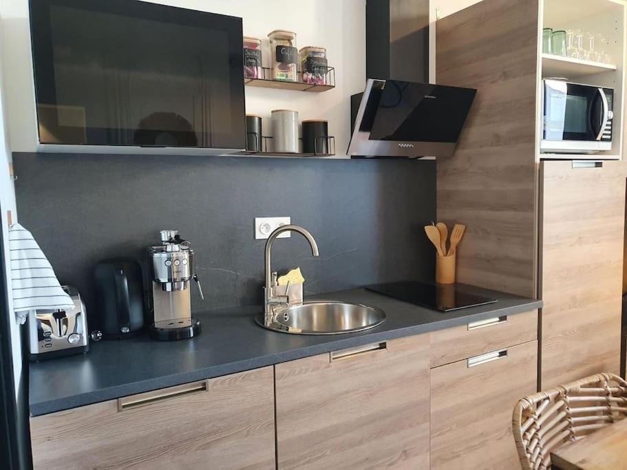 -Garrigue- Face A La Cite Medievale Studio Terrasse Classe 4☆ Carcassone Exterior photo