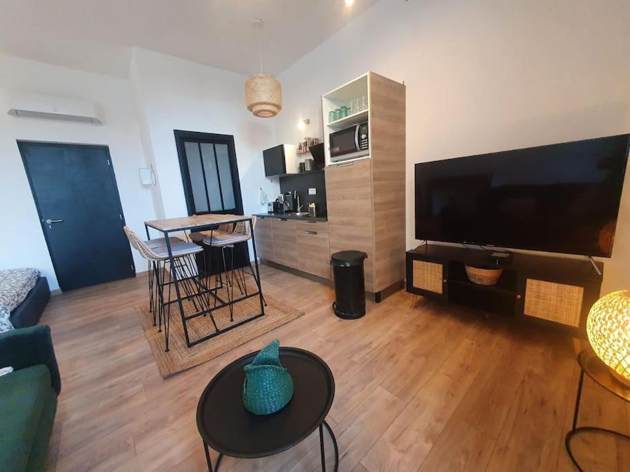 -Garrigue- Face A La Cite Medievale Studio Terrasse Classe 4☆ Carcassone Exterior photo